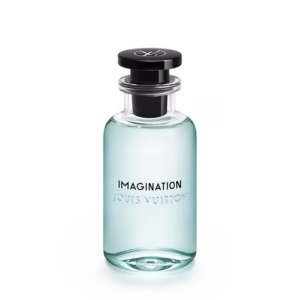 Imagination